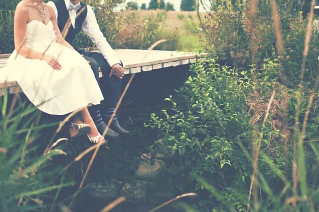 Novios sentados en una pradera